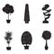 Silhouette icons of houseplants, indoor and office plants in pot.