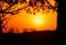 Silhouette of an Indiana farm at sunset