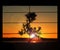 Silhouette of Japanese bonsai plant against sky at sunset. Creating zen atmosphere