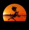 Silhouette of Japanese bonsai plant against sky at sunset. Creating zen atmosphere