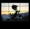 Silhouette of Japanese bonsai plant and mountain landscape on background. Creating zen atmosphere