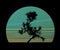 Silhouette of Japanese bonsai plant at sunset. Creating zen atmosphere at home