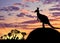 Silhouette of a kangaroo with a baby