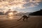 Silhouette of a kangaroo on the beach at the sunrise