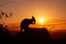 silhouette of a Kangaroo on a rock with a beautiful sunset in the background. The animal is eating food. Queensland, Australia