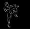 Silhouette of a karateka doing standing side kick