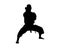 Silhouette of a karateka in a stance
