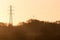 Silhouette of a Kestrel falcon raptor Falco tinnunculus