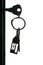 Silhouette of the keys with keyring in the door keyhole
