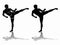 Silhouette of a kickboxer, vector draw