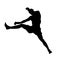 silhouette of a kickboxing athlete.