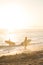 silhouette of kids walking along the beach with surfboards during sunset in Rio de Janeiro