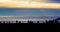 Silhouette of King and gentoo pengins on St. Andrews bay, South Georgia Islands, at sunrise