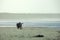 Silhouette of a kneeling photographer on the beach