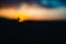 Silhouette of a ladybug crawling on a blade of grass. In the background is a sunset and a colorful sky. Shallow depth of field,