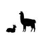 Silhouette of lama alpaca and young little lama alpaca