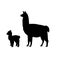 Silhouette of lama alpaca and young little lama alpaca