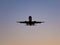 Silhouette of a landing aircraft at sunset