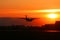 Silhouette of the landing plane on a sunset.