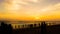 A silhouette landscape image of people watching sunset on a beach