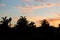 Silhouette of a lantern and trees in sunset light in Millennium