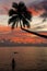Silhouette of leaning palm tree and a woman at sunrise on Taveuni Island, Fiji