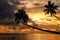 Silhouette of leaning palm trees at sunrise on Taveuni Island, F