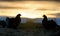 Silhouette of Lekking Black Grouse