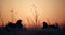 Silhouette of Lekking Black Grouse