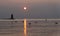 Silhouette of the lighthouse and wild birds during the sunset at Cape Henlopen State Park, Lewes, Delaware, U.S.A