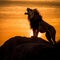 silhouette of a lion on a colorful sunrise