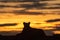 Silhouette of lioness on horizon at sunrise