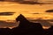 Silhouette of lioness in profile at sunrise