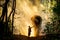 Silhouette of little boy stand and touch leg of elephant with sunlight shine through tree in forest in concept of good