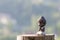 Silhouette of little buddha or baby practicing yoga, meditate and pray on wooden surface