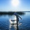 Silhouette of little child girl splashing water in the lake. Holiday, vacation and health concept