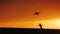 Silhouette of little girl launch kite, running across field at sunset