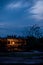 Silhouette of livestock and tree in the morning