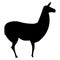 Silhouette of a llama on white background