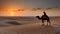 Silhouette of a lone bedouin sitting on a camel in the desert with spectacular sunset