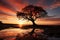 Silhouette of a lone tree against a colorful sunset sky - stock photography