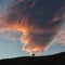 Silhouette. Lone tree againstbright sunlit cloud. Salares, Spain.