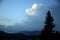 Silhouette of a lonely pine with the background of white clouds backlit by the sun