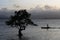 Silhouette of a lonely tree and a fisheman