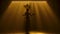 Silhouette of a long legged female dancer in a chic carnival costume and a headdress with feathers. A slender woman