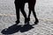 Silhouette of love couple on the street, shadows on pavement
