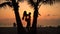 Silhouette loving couple kissing at sunset on background amazing tropical nature