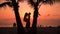 Silhouette loving couple kissing at sunset on background amazing tropical nature