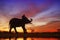 Silhouette of Mahout