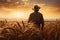 Silhouette of Man agronomist farmer in golden wheat field, The concept of harvesting in agriculture. A farmer walks through a